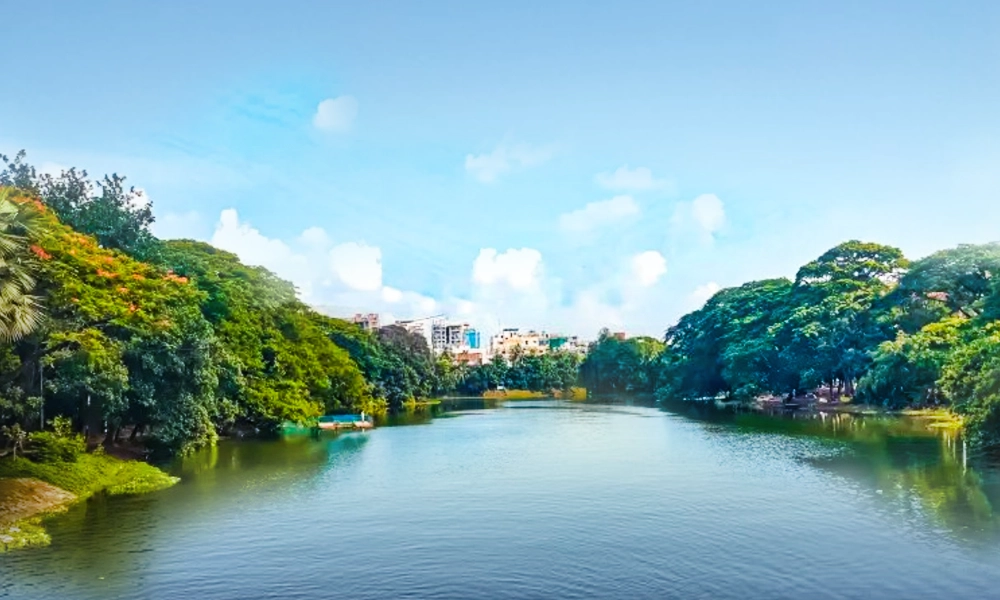 Clean Water, Healthy Future: The Role of Sewage Treatment Plants